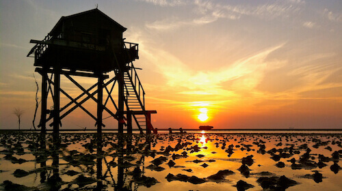 Vogelwachterhut Engelsmanplaat_sunset